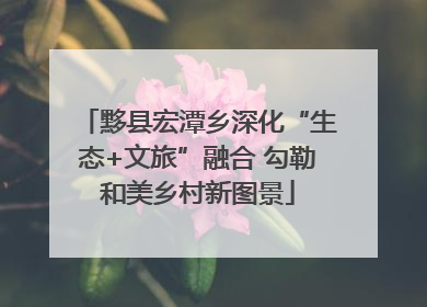 黟县宏潭乡深化“生态+文旅”融合 勾勒和美乡村新图景